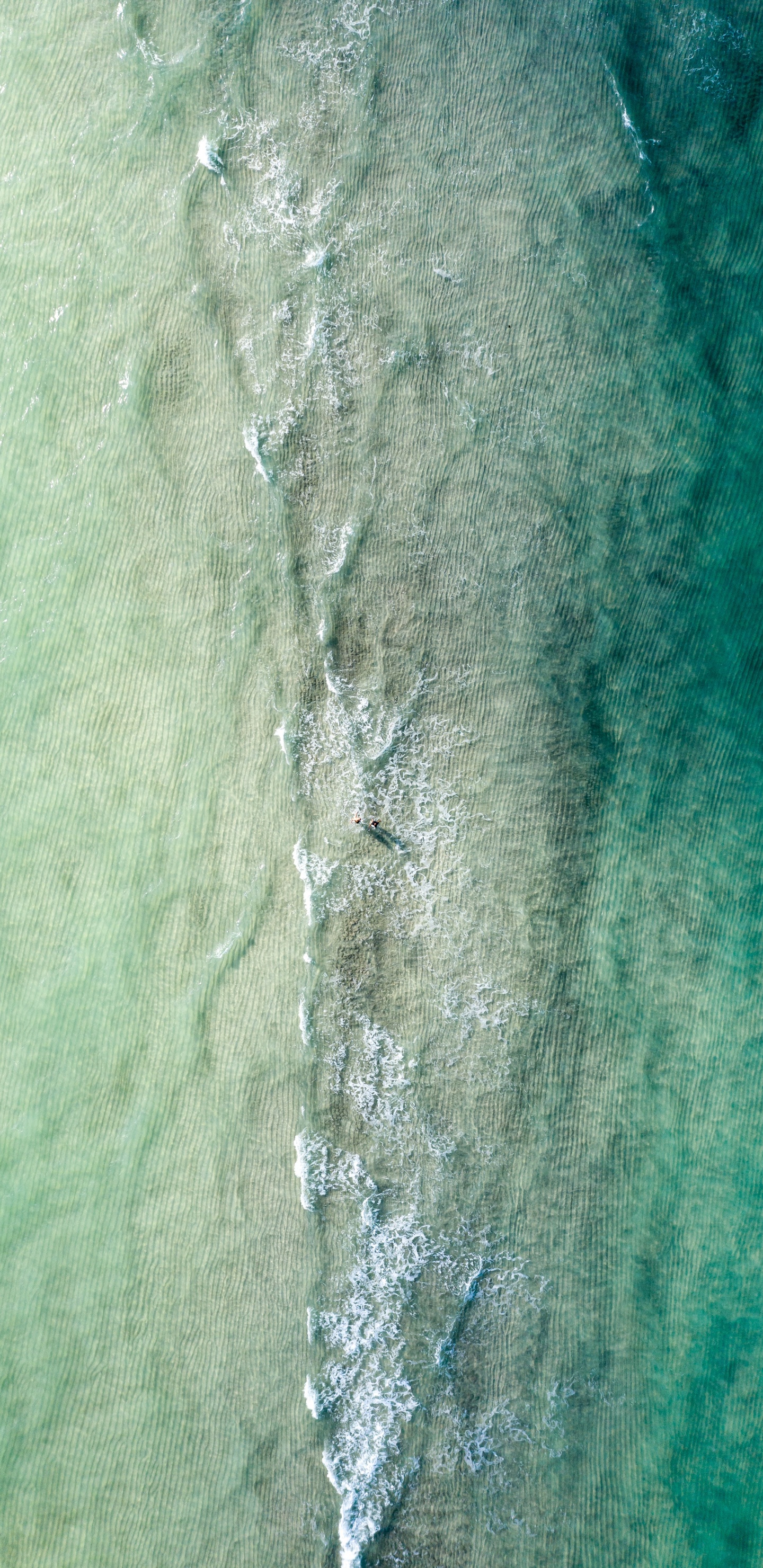 Green, Turquoise, Aqua, Water, Tree. Wallpaper in 1440x2960 Resolution