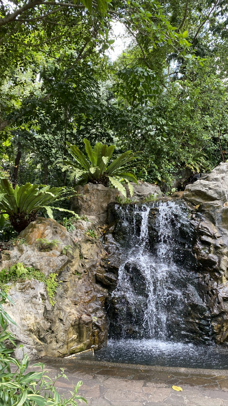 Naturaleza, Cascada, Curso de Agua, Los Recursos de Agua, Cuerpo de Agua. Wallpaper in 750x1334 Resolution