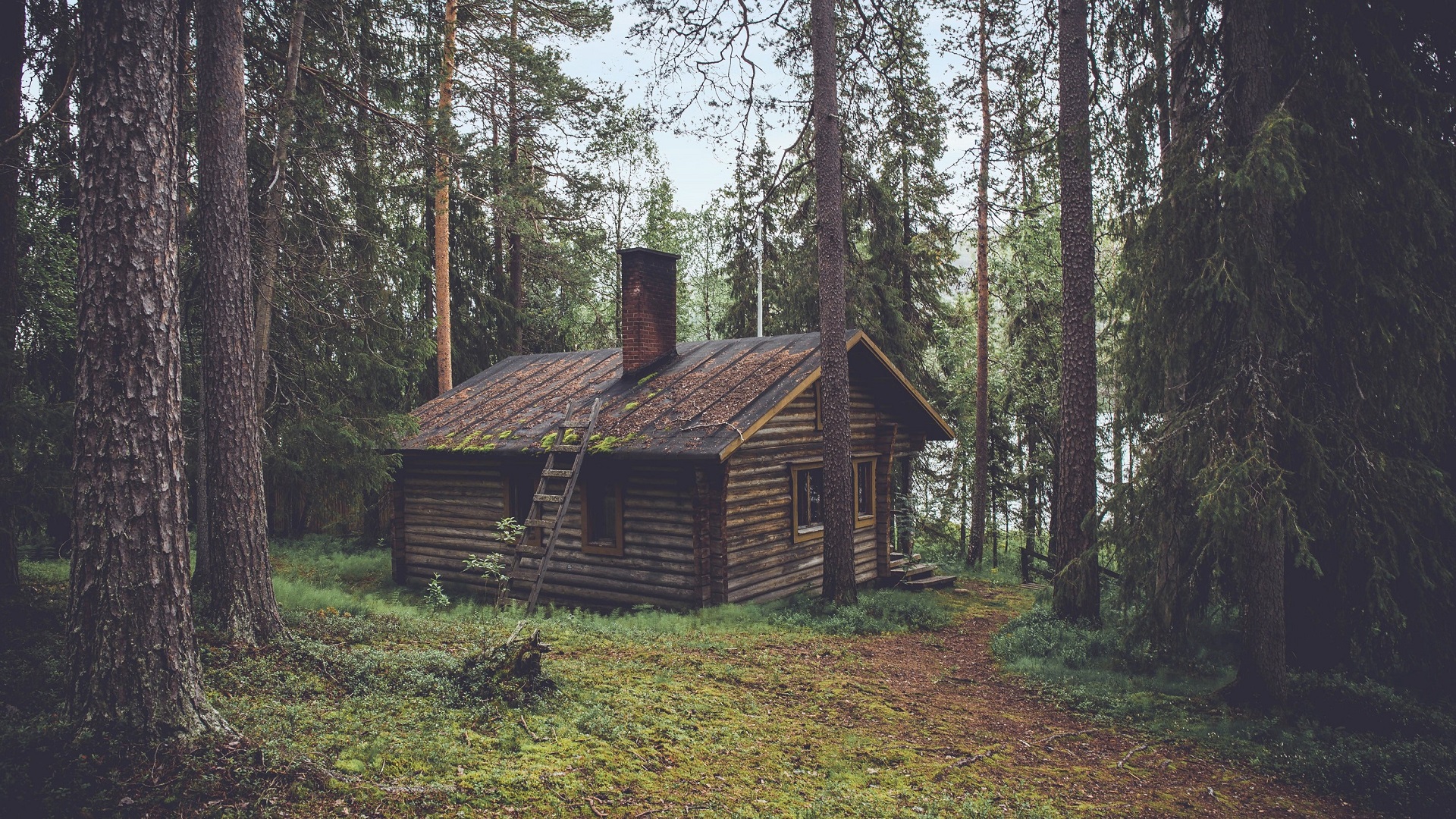 Hut in The Woods, Hat, Cottage, Log Cabin, House. Wallpaper in 1920x1080 Resolution