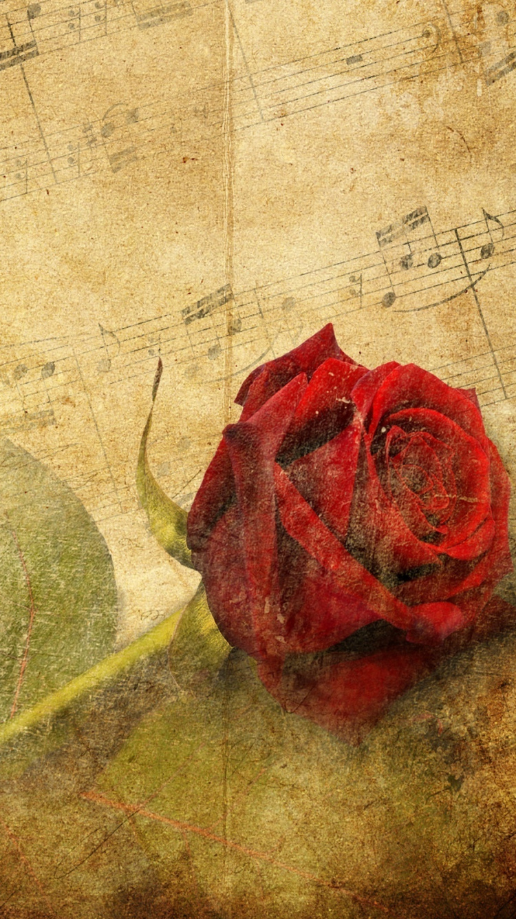 la Musique Classique, Piano, Feuille de Musique, Red, Mur. Wallpaper in 750x1334 Resolution