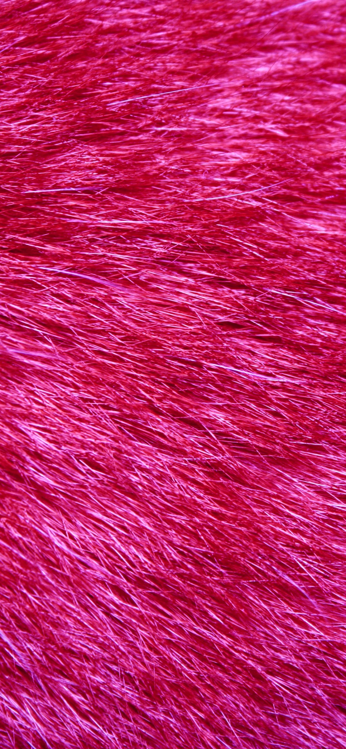 Red Textile in Close up Photography. Wallpaper in 1125x2436 Resolution