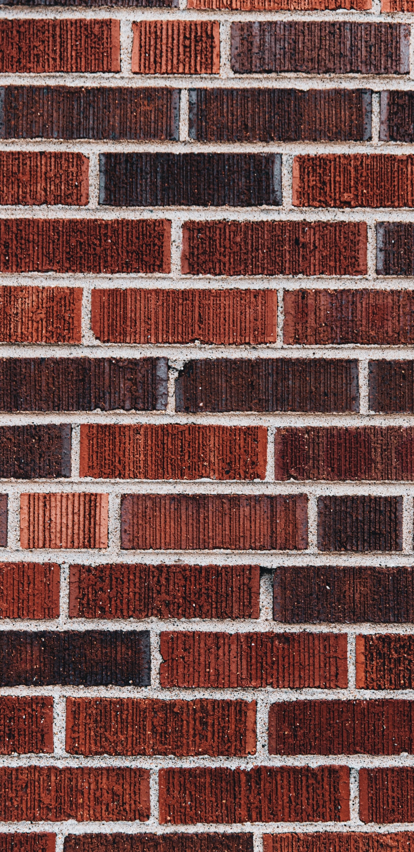 Ilustración, Ladrillo, Rectángulo, Material de Construcción, Material Compuesto. Wallpaper in 1440x2960 Resolution