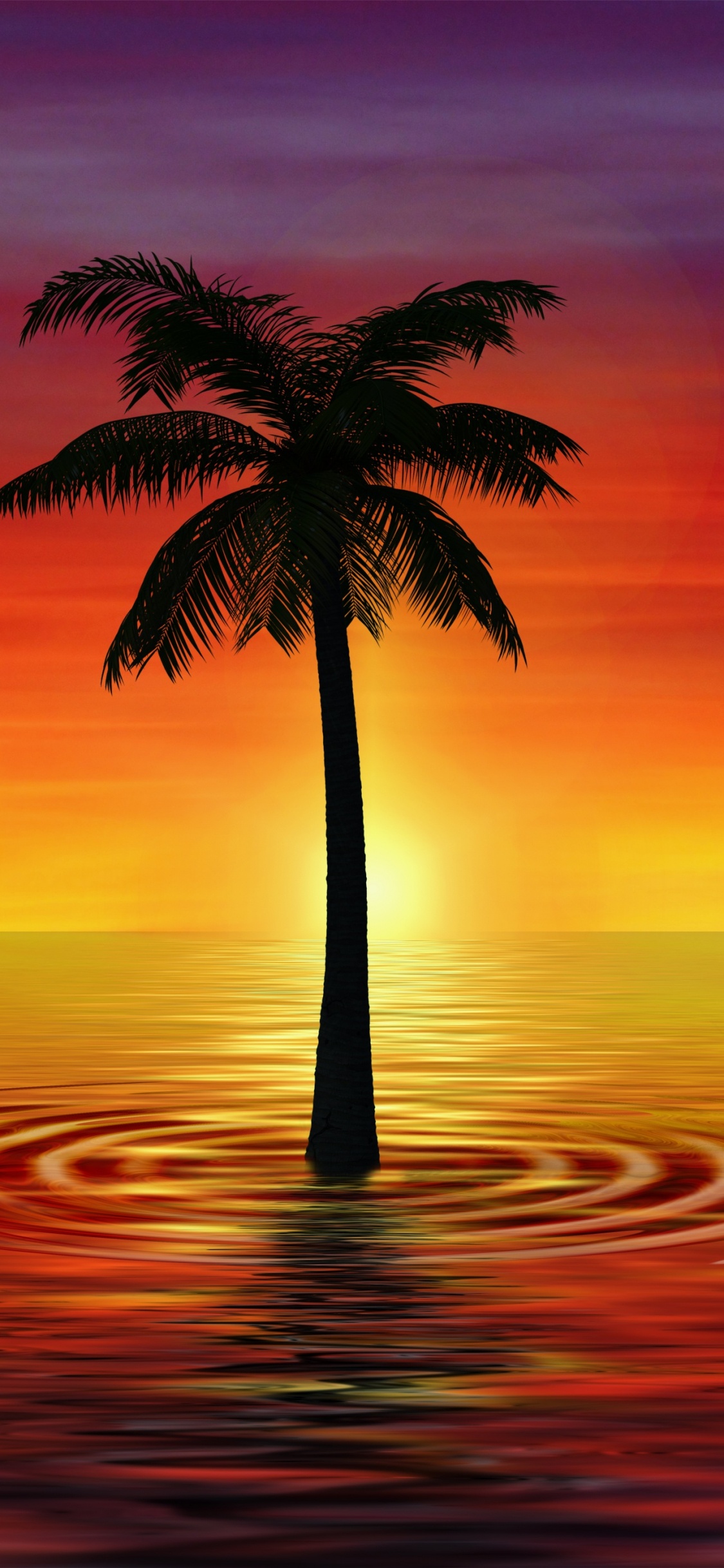 Palme am Strand Bei Sonnenuntergang. Wallpaper in 1125x2436 Resolution