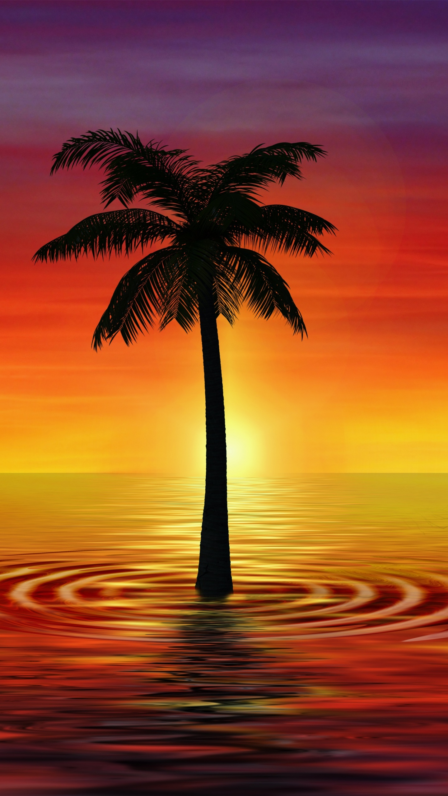 Palme am Strand Bei Sonnenuntergang. Wallpaper in 1440x2560 Resolution
