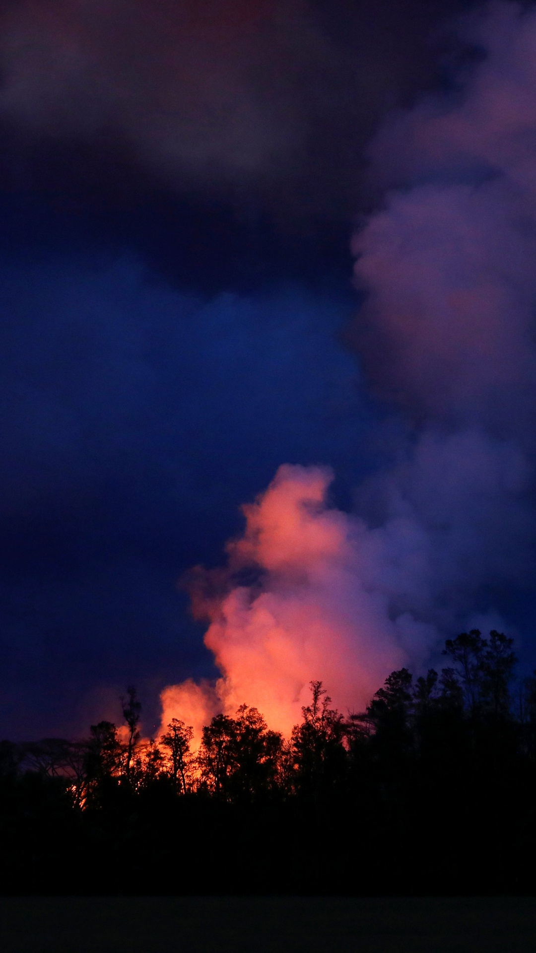 Silueta de Árboles Bajo el Cielo Oscuro. Wallpaper in 1080x1920 Resolution