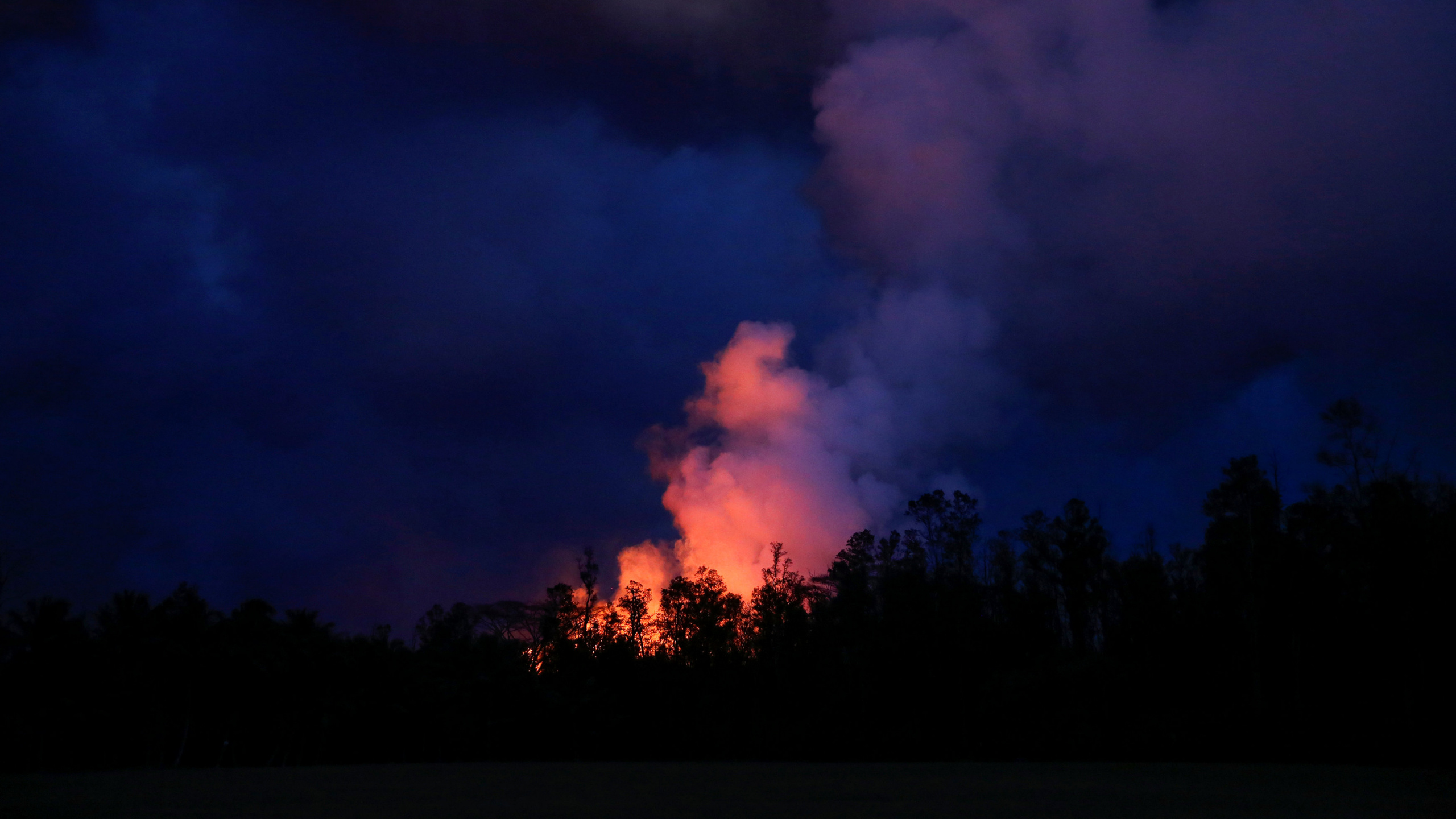 Silhouette D'arbres Sous un Ciel Sombre. Wallpaper in 2560x1440 Resolution