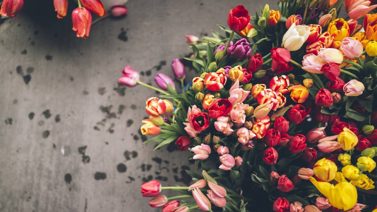 Red and Yellow Flowers on White Ceramic Vase. Wallpaper in 1280x720 Resolution