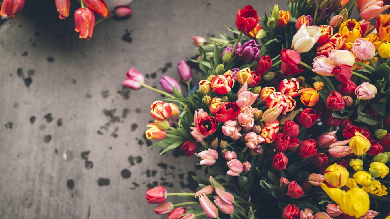 Red and Yellow Flowers on White Ceramic Vase. Wallpaper in 1366x768 Resolution