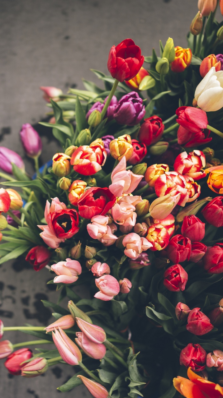 Red and Yellow Flowers on White Ceramic Vase. Wallpaper in 720x1280 Resolution