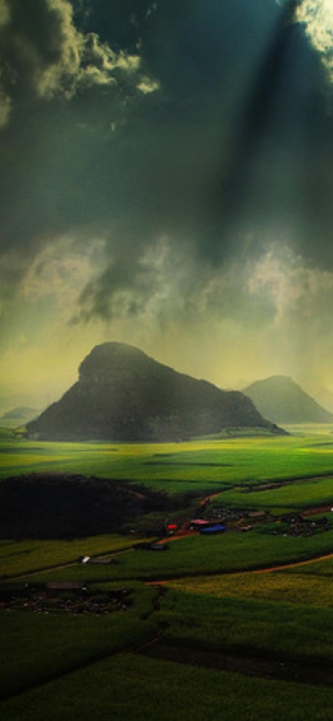 Grüne Wiese Unter Blauem Himmel. Wallpaper in 1125x2436 Resolution