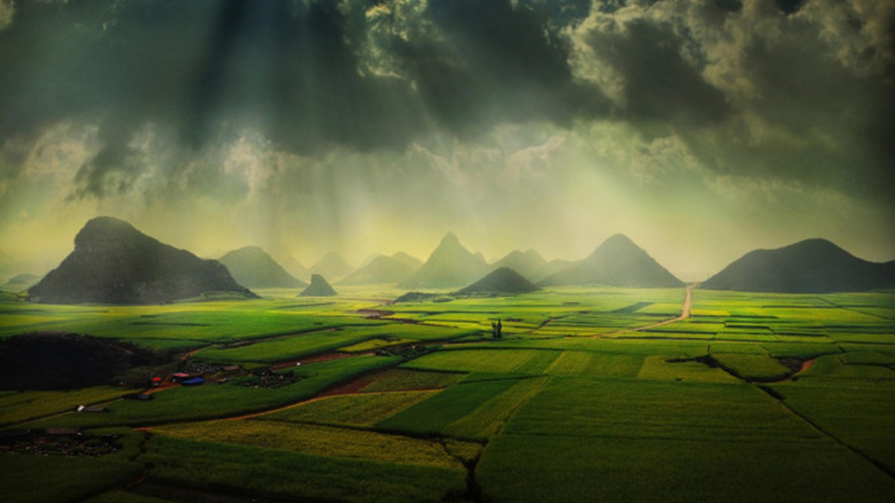 Green Grass Field Under Blue Sky. Wallpaper in 1280x720 Resolution