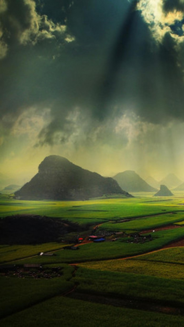 Green Grass Field Under Blue Sky. Wallpaper in 750x1334 Resolution