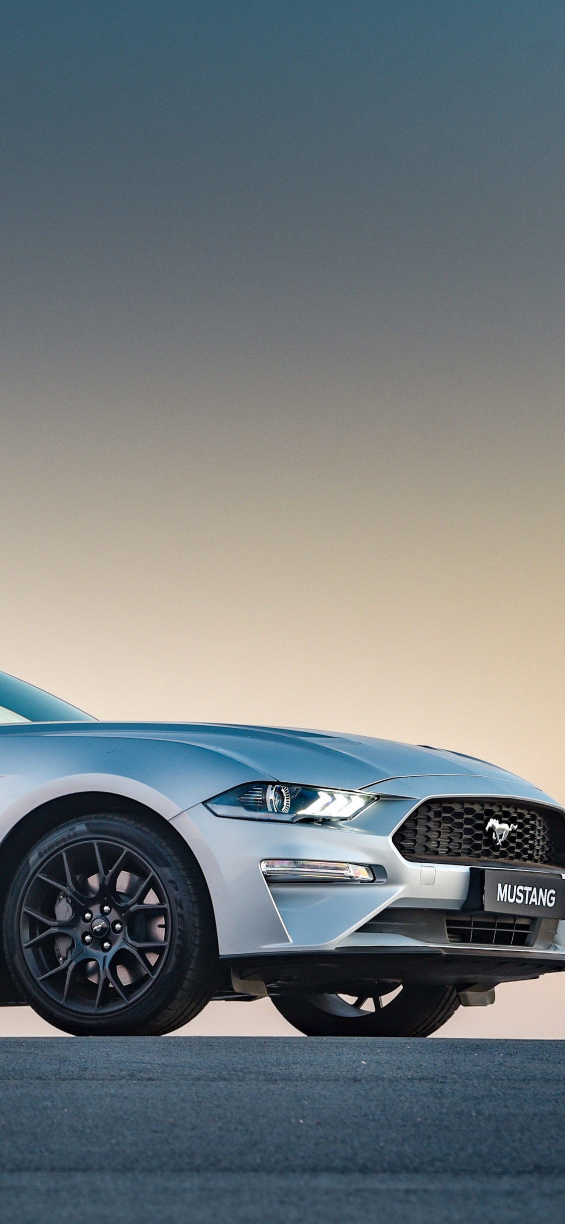 Ford Mustang, 2019 Ford Mustang, Coche, Shelby Mustang, Ford Gt. Wallpaper in 1125x2436 Resolution