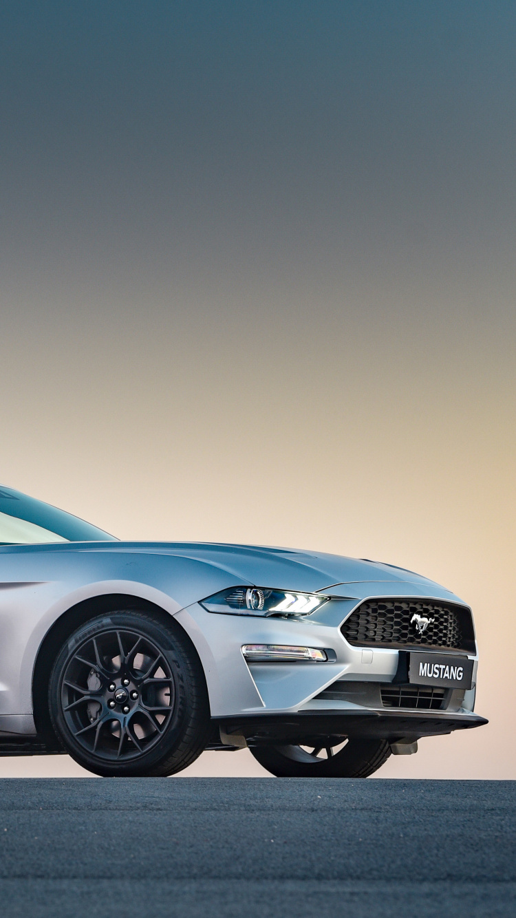 Ford Mustang, 2019 Ford Mustang, Coche, Shelby Mustang, Ford Gt. Wallpaper in 750x1334 Resolution