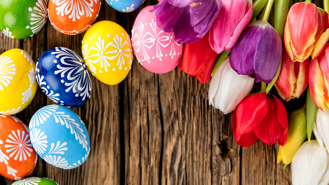 Huevo de Pascua, Primavera, Tulip, Pascua, Pétalo. Wallpaper in 1280x720 Resolution