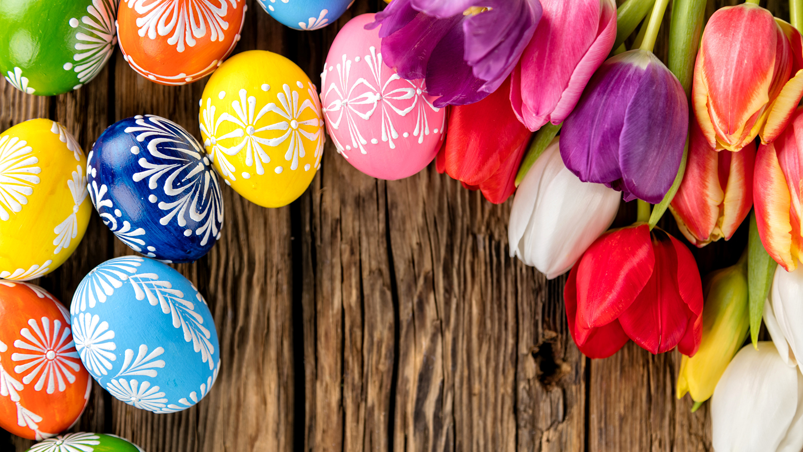 Oeuf de Pâques, Printemps, Tulip, Pâques, Pétale. Wallpaper in 2560x1440 Resolution