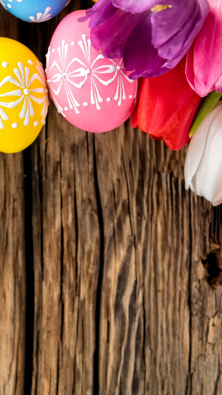 Oeuf de Pâques, Printemps, Tulip, Pâques, Pétale. Wallpaper in 720x1280 Resolution
