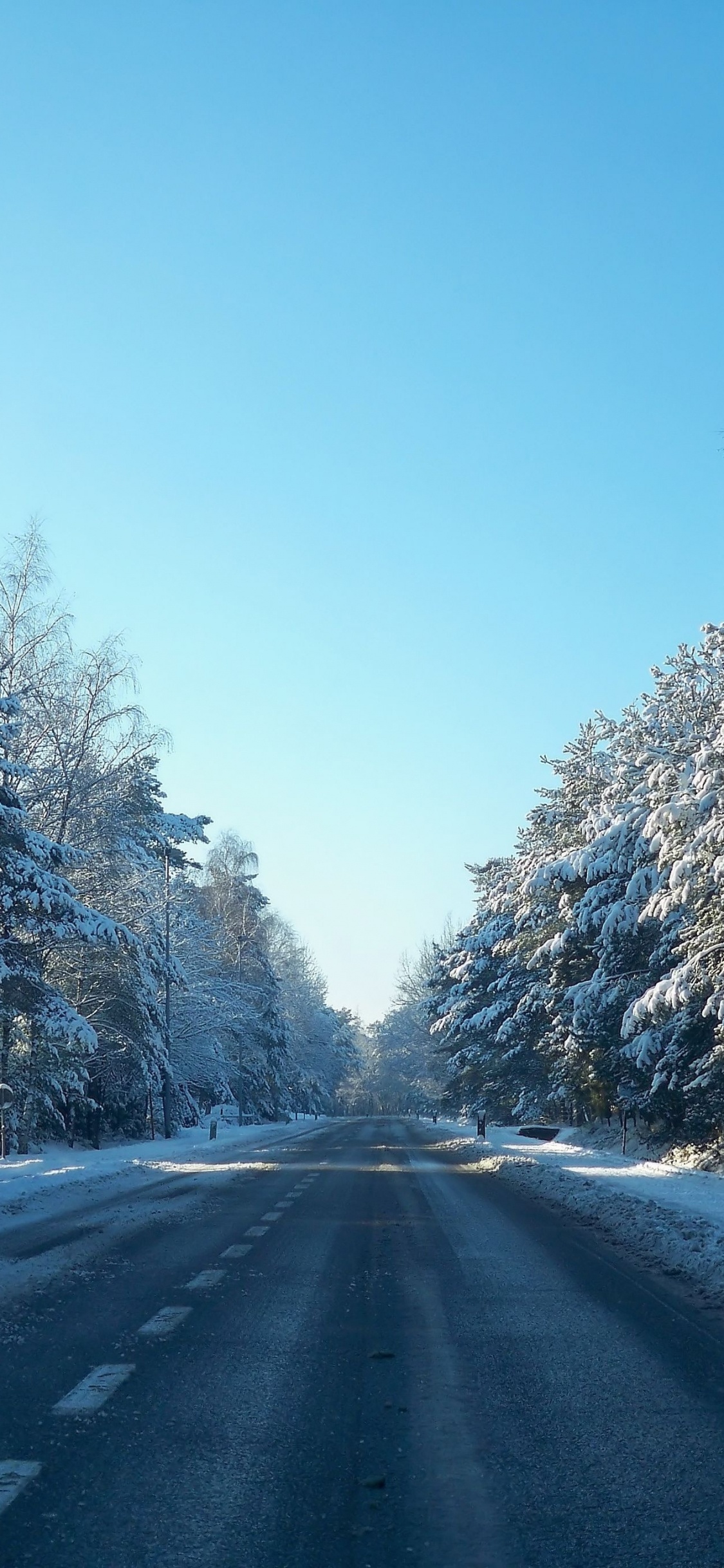 Snow Covered Road Between Trees During Daytime. Wallpaper in 1125x2436 Resolution
