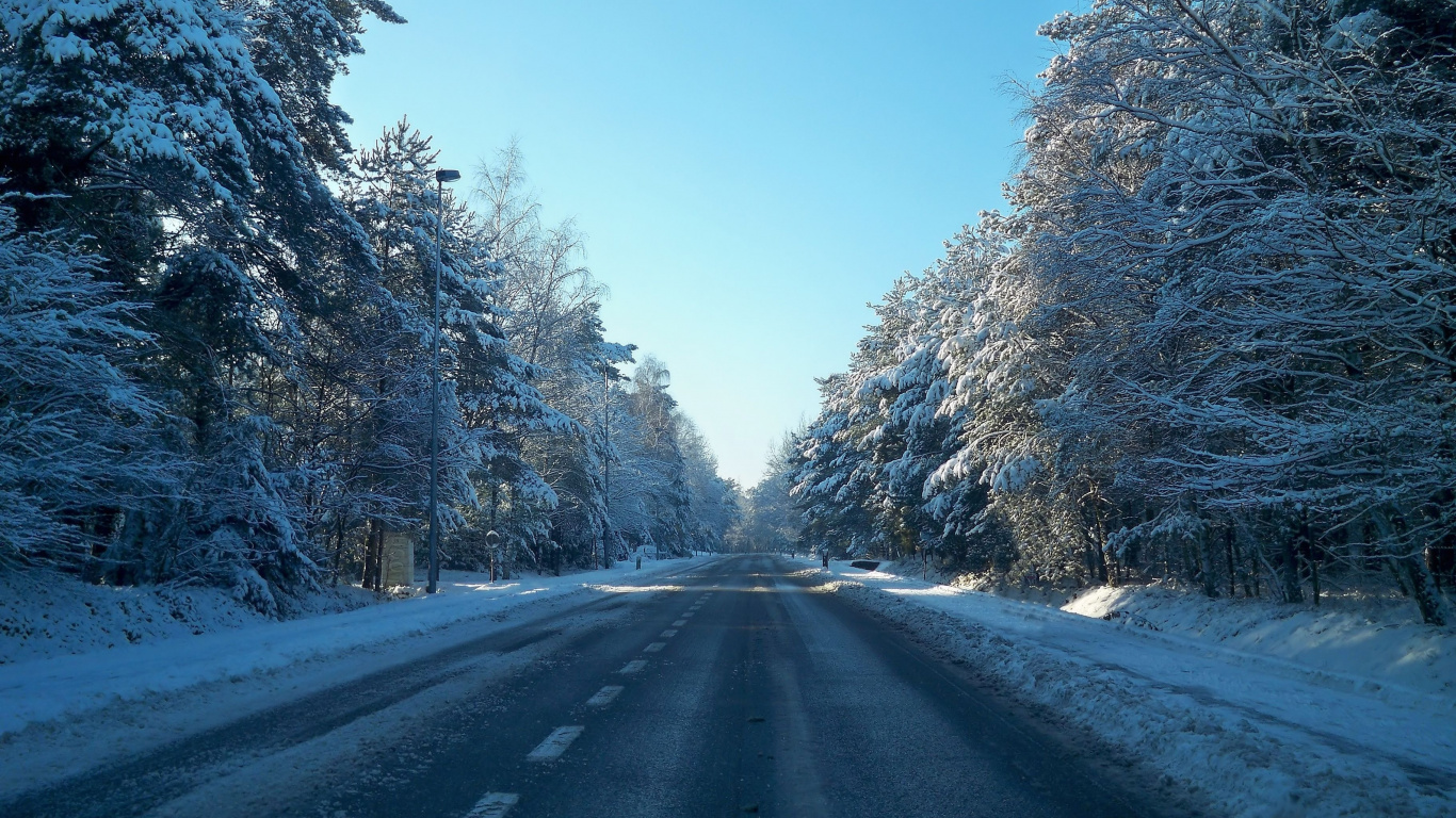 Snow Covered Road Between Trees During Daytime. Wallpaper in 1366x768 Resolution