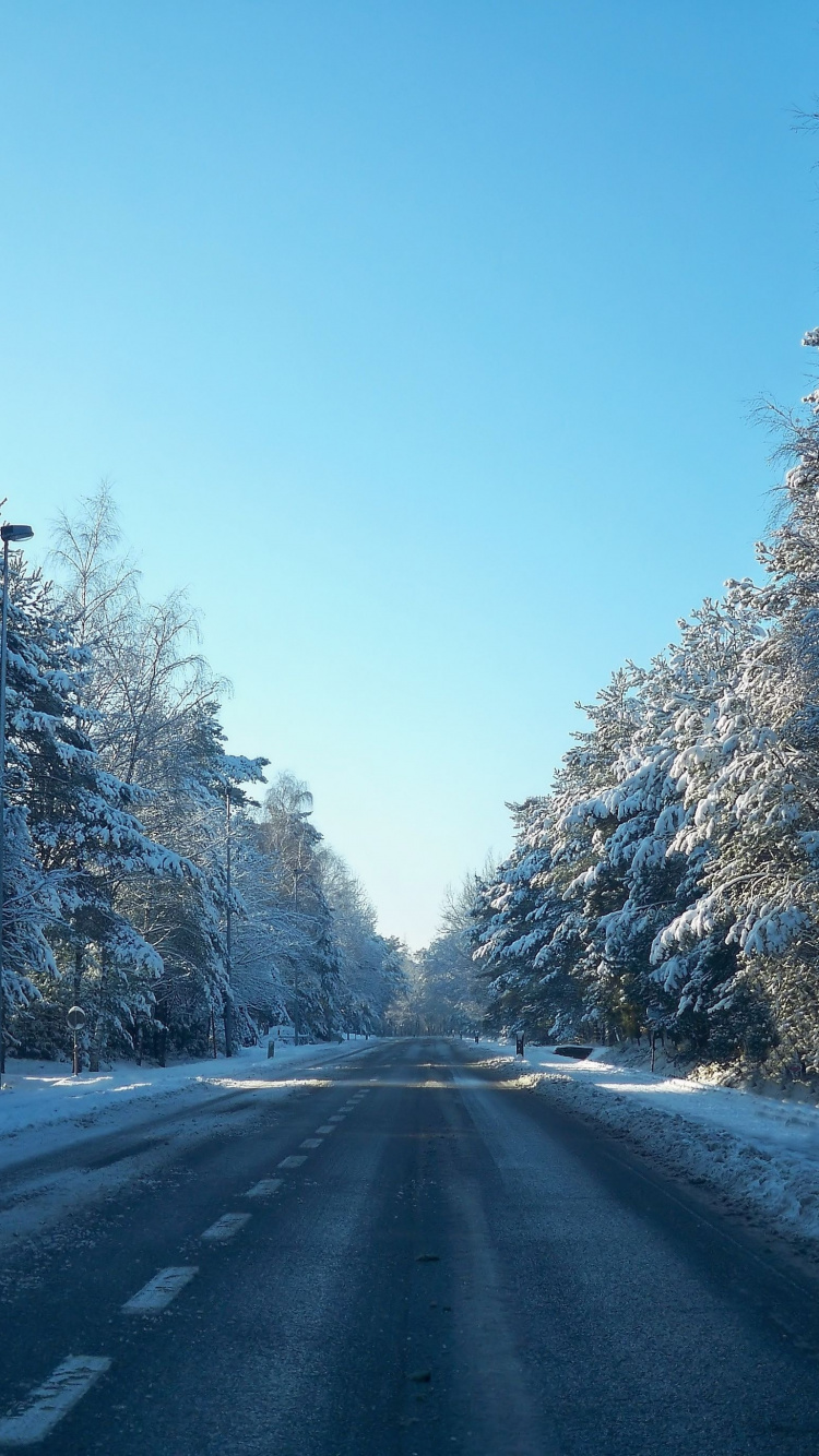 Snow Covered Road Between Trees During Daytime. Wallpaper in 750x1334 Resolution