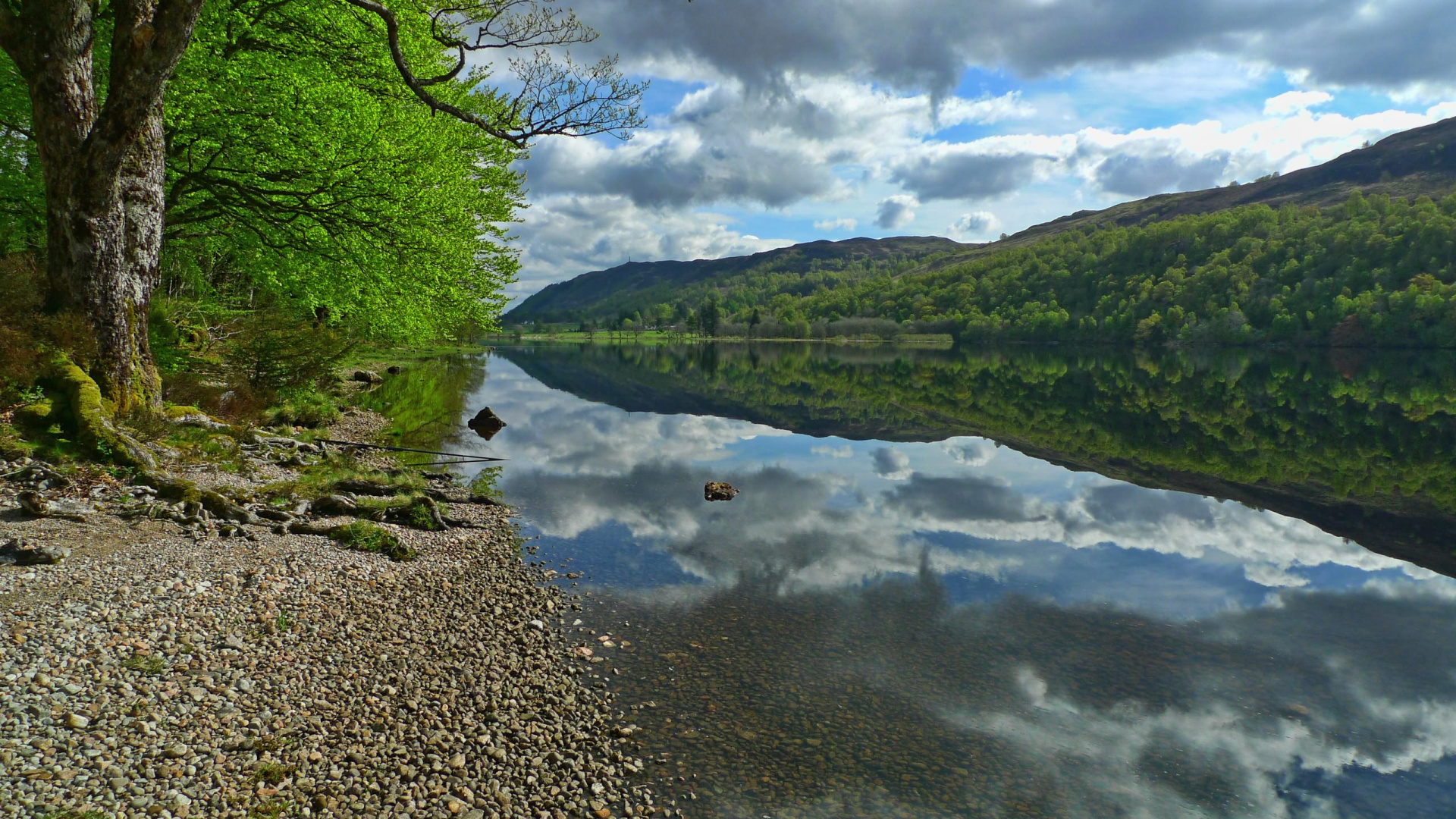 Green Trees Beside River Under Blue Sky During Daytime. Wallpaper in 1920x1080 Resolution