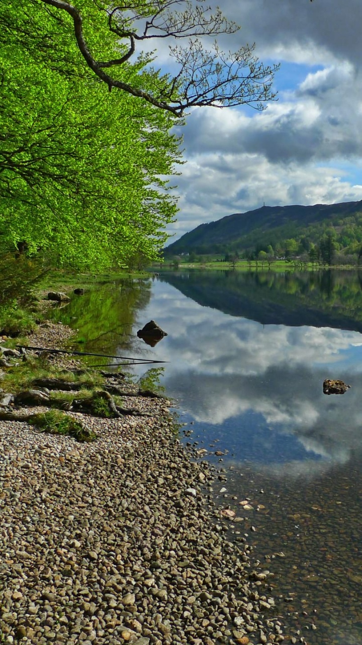 Green Trees Beside River Under Blue Sky During Daytime. Wallpaper in 720x1280 Resolution