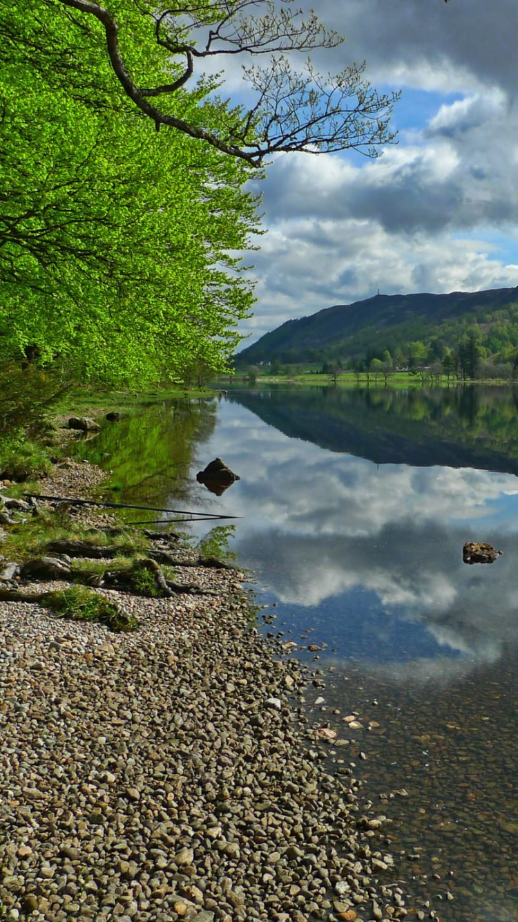 Green Trees Beside River Under Blue Sky During Daytime. Wallpaper in 750x1334 Resolution
