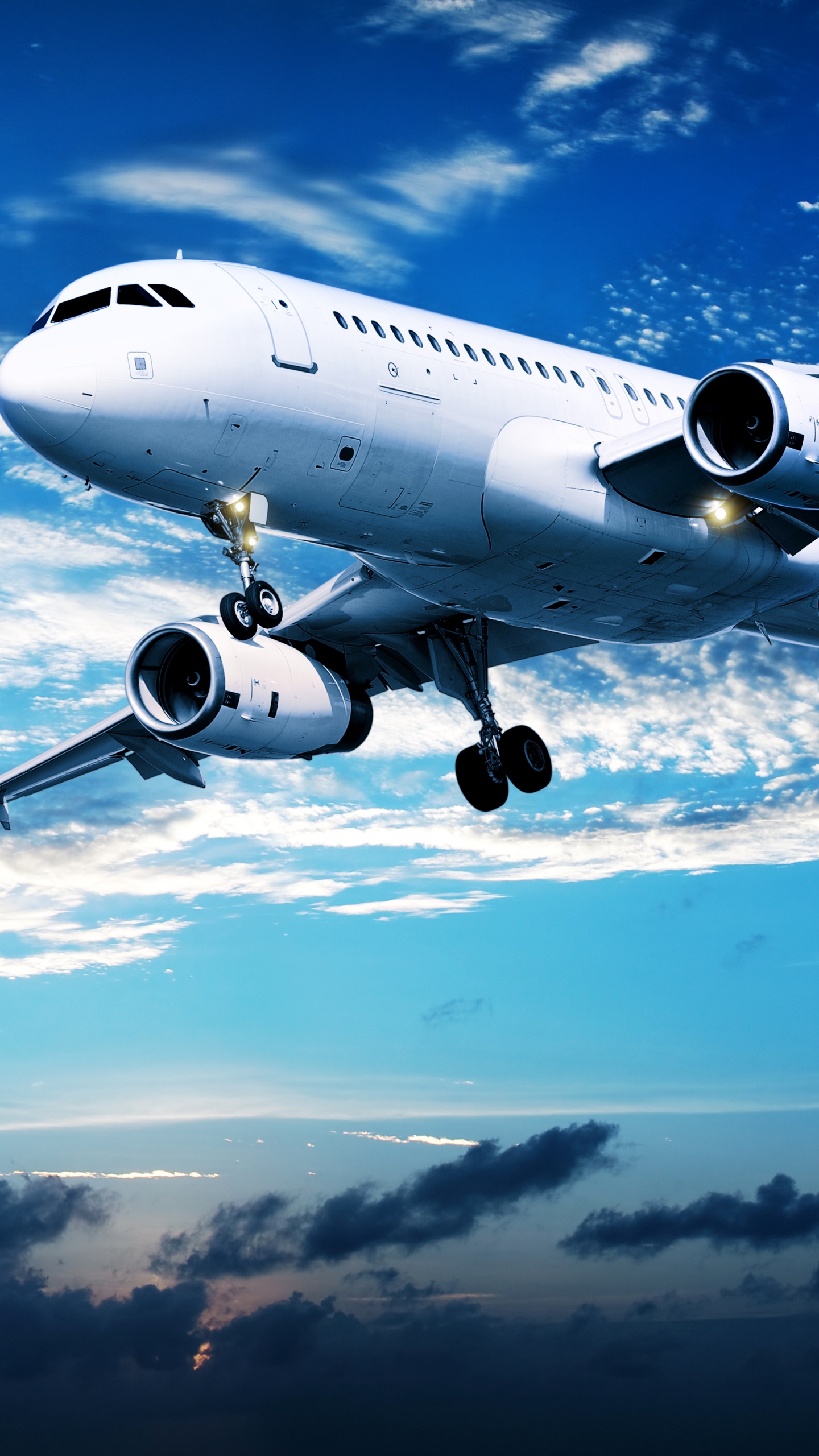 White and Blue Airplane Under Blue Sky During Daytime. Wallpaper in 1440x2560 Resolution