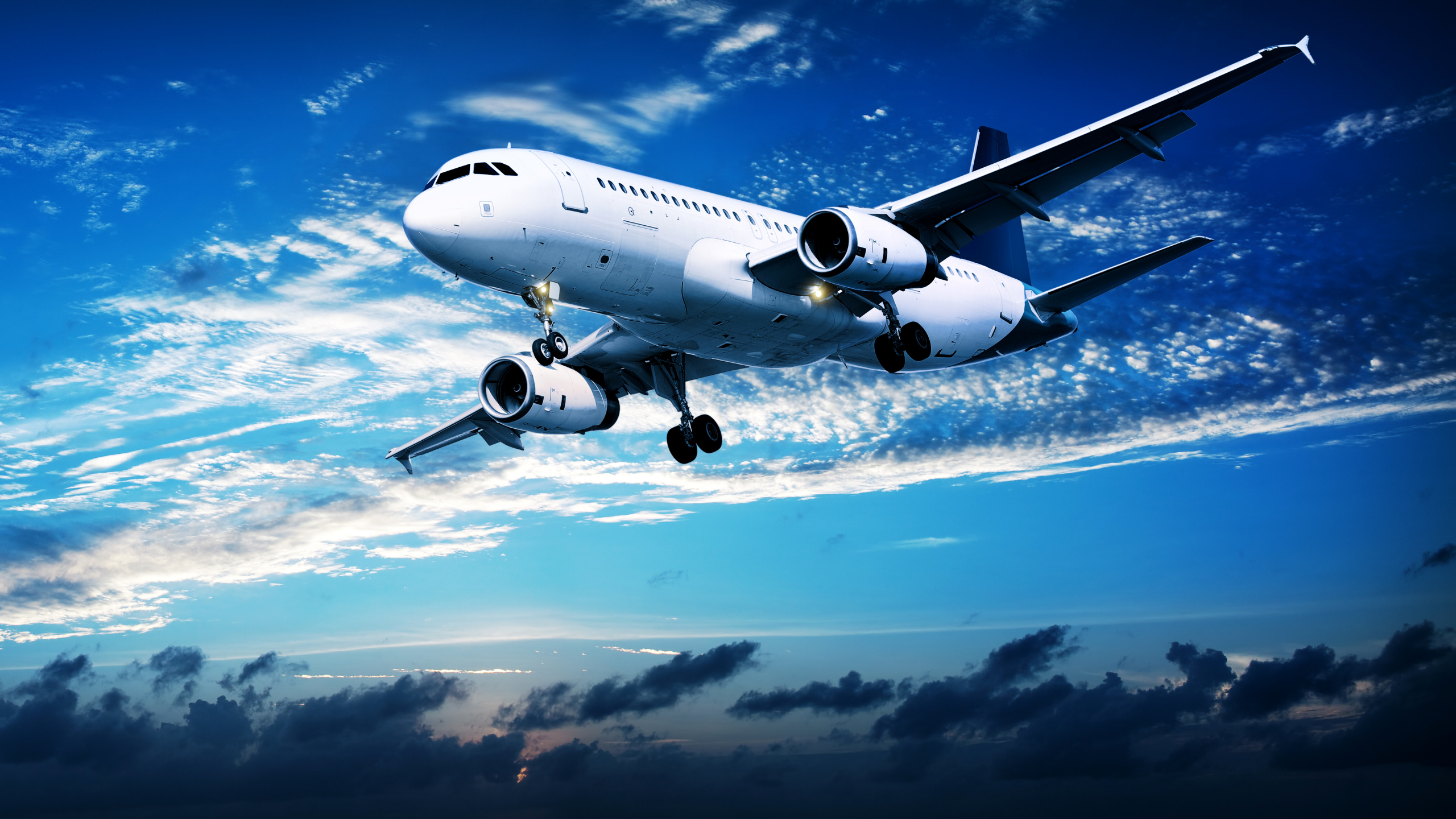 White and Blue Airplane Under Blue Sky During Daytime. Wallpaper in 2560x1440 Resolution