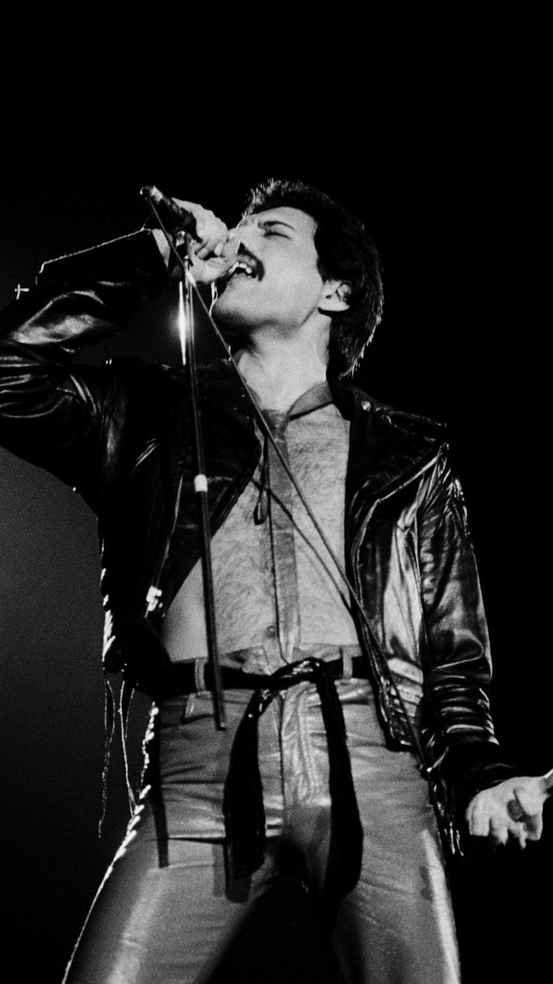 Freddie Mercury, Queen, Leistung, Schwarz, Mikrofon. Wallpaper in 1080x1920 Resolution