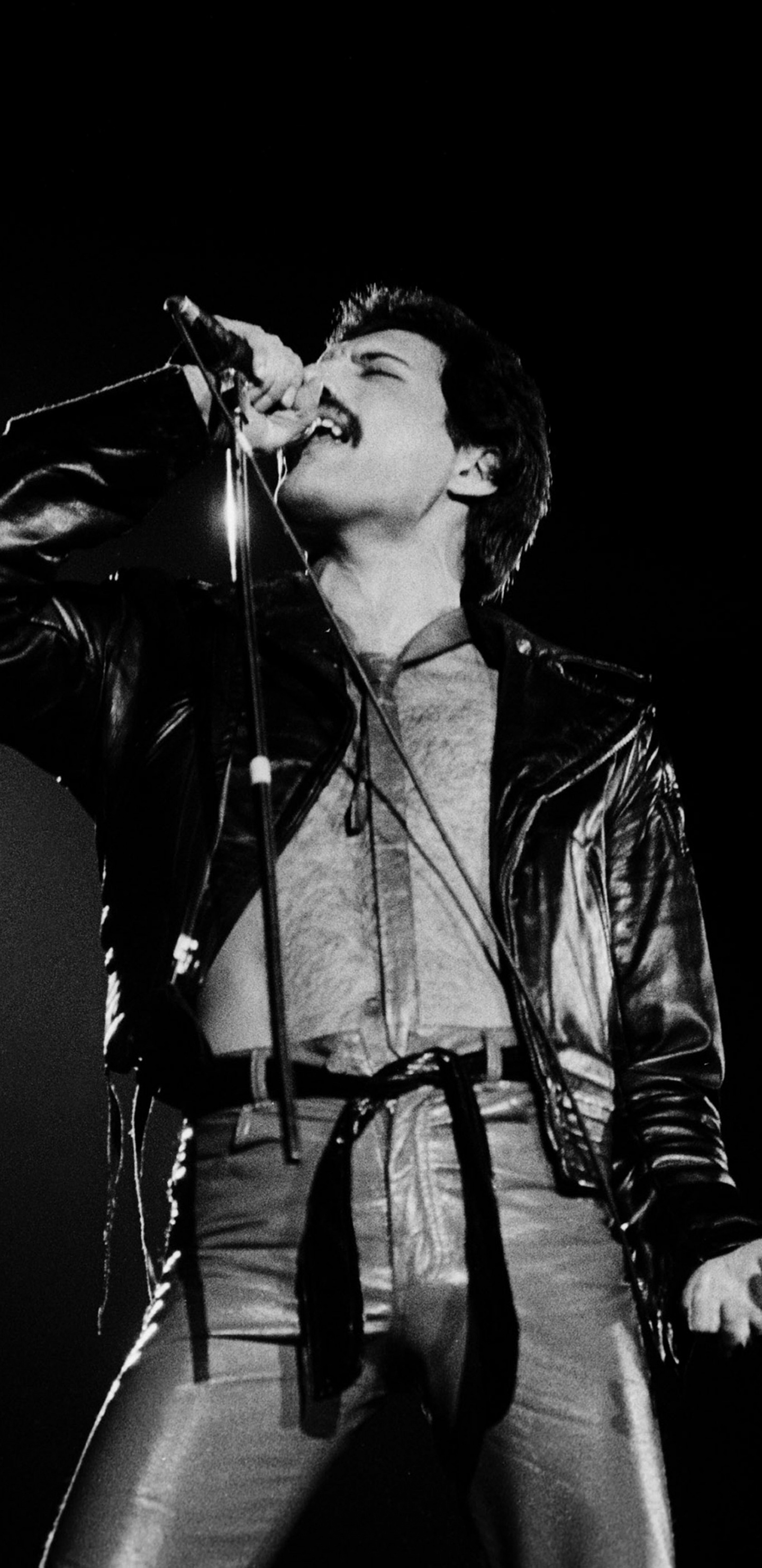 Freddie Mercury, Queen, Performance, Black, Microphone. Wallpaper in 1440x2960 Resolution