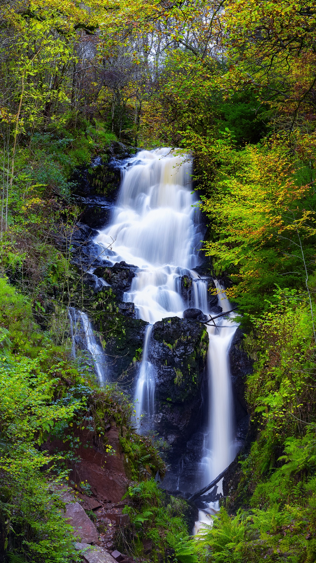 Waterfalls in The Middle of Green Trees. Wallpaper in 1080x1920 Resolution