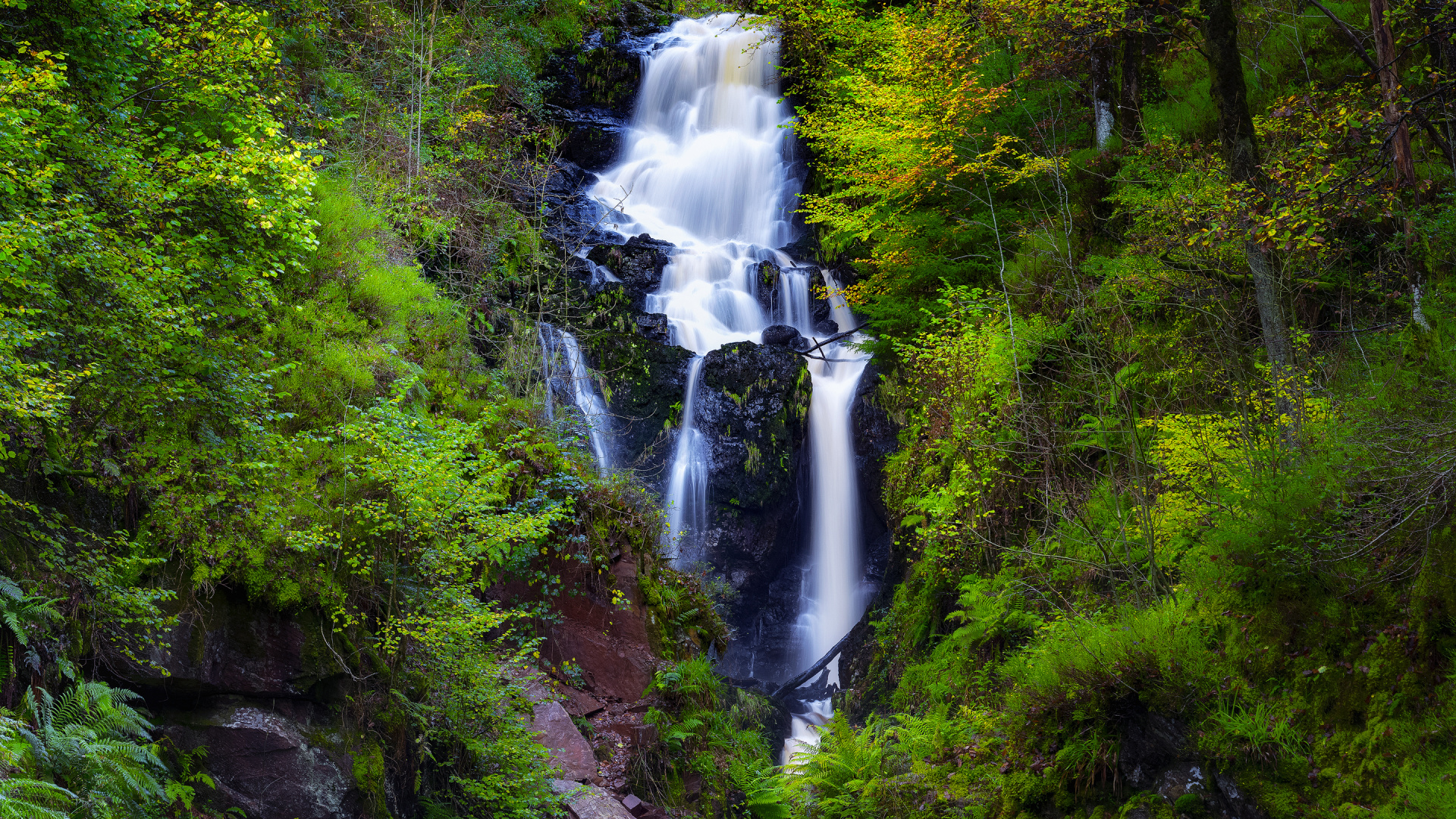 Waterfalls in The Middle of Green Trees. Wallpaper in 1920x1080 Resolution