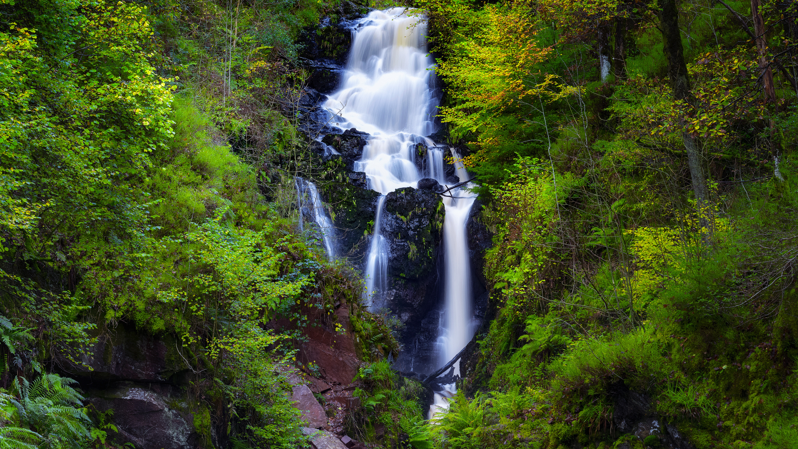 Waterfalls in The Middle of Green Trees. Wallpaper in 2560x1440 Resolution