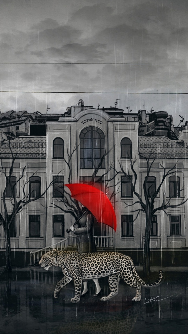 Parapluie Rouge Dans la Rue Devant le Bâtiment Blanc. Wallpaper in 720x1280 Resolution