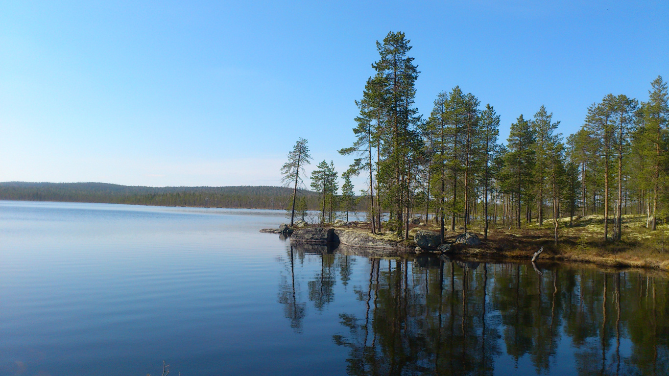 Green Trees Beside Body of Water During Daytime. Wallpaper in 1366x768 Resolution