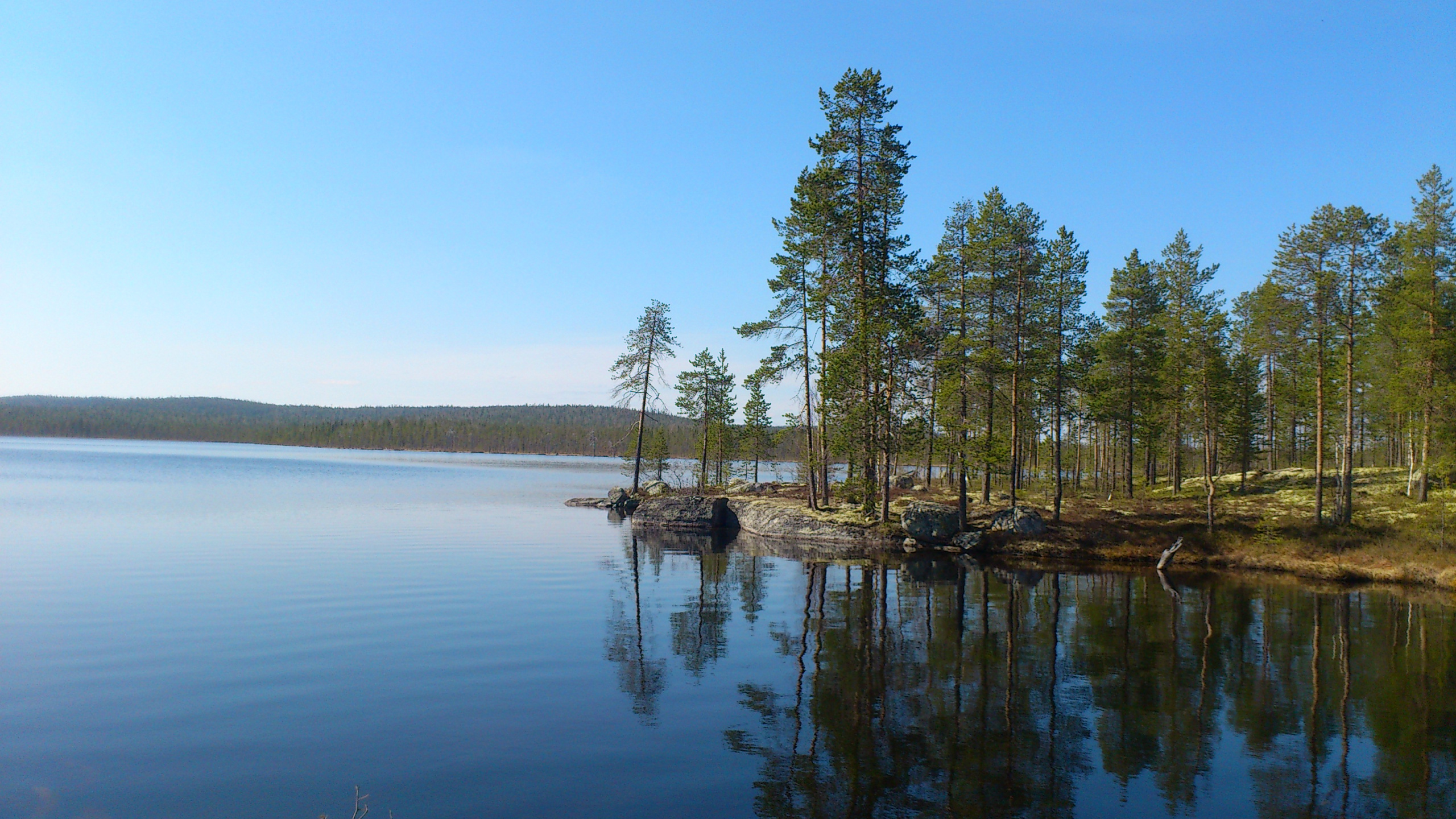 Green Trees Beside Body of Water During Daytime. Wallpaper in 2560x1440 Resolution