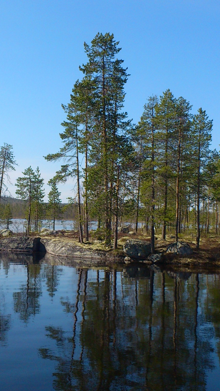 Green Trees Beside Body of Water During Daytime. Wallpaper in 720x1280 Resolution