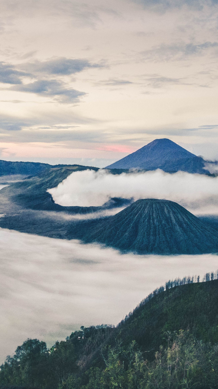 Mount Bromo, Cloud, Hochland, Cumulus, Vulkan. Wallpaper in 750x1334 Resolution