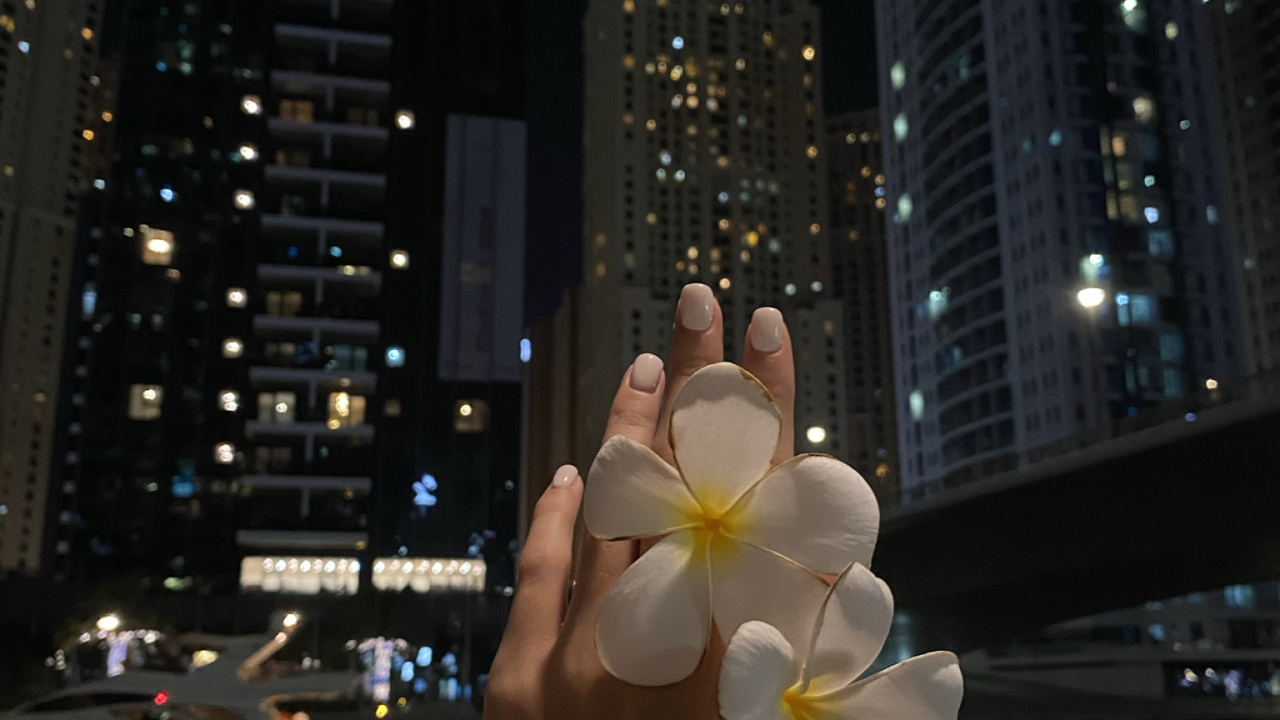 Night, Tower Block, Metropolis, Petal, Condominium. Wallpaper in 1280x720 Resolution