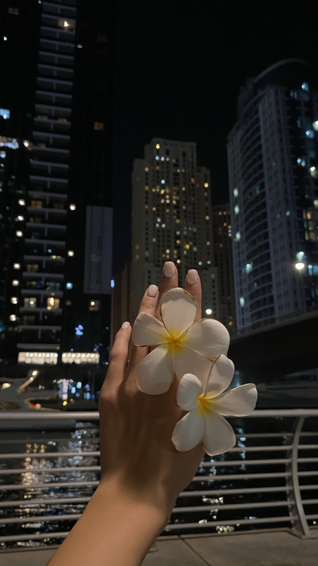 塔块, 大都会, 公寓, 城市, 城市景观 壁纸 1080x1920 允许