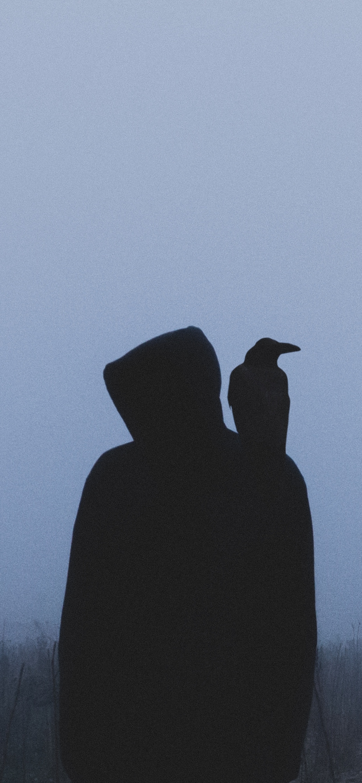 Silhouette D'oiseau Sur Une Branche D'arbre Pendant la Journée. Wallpaper in 1242x2688 Resolution