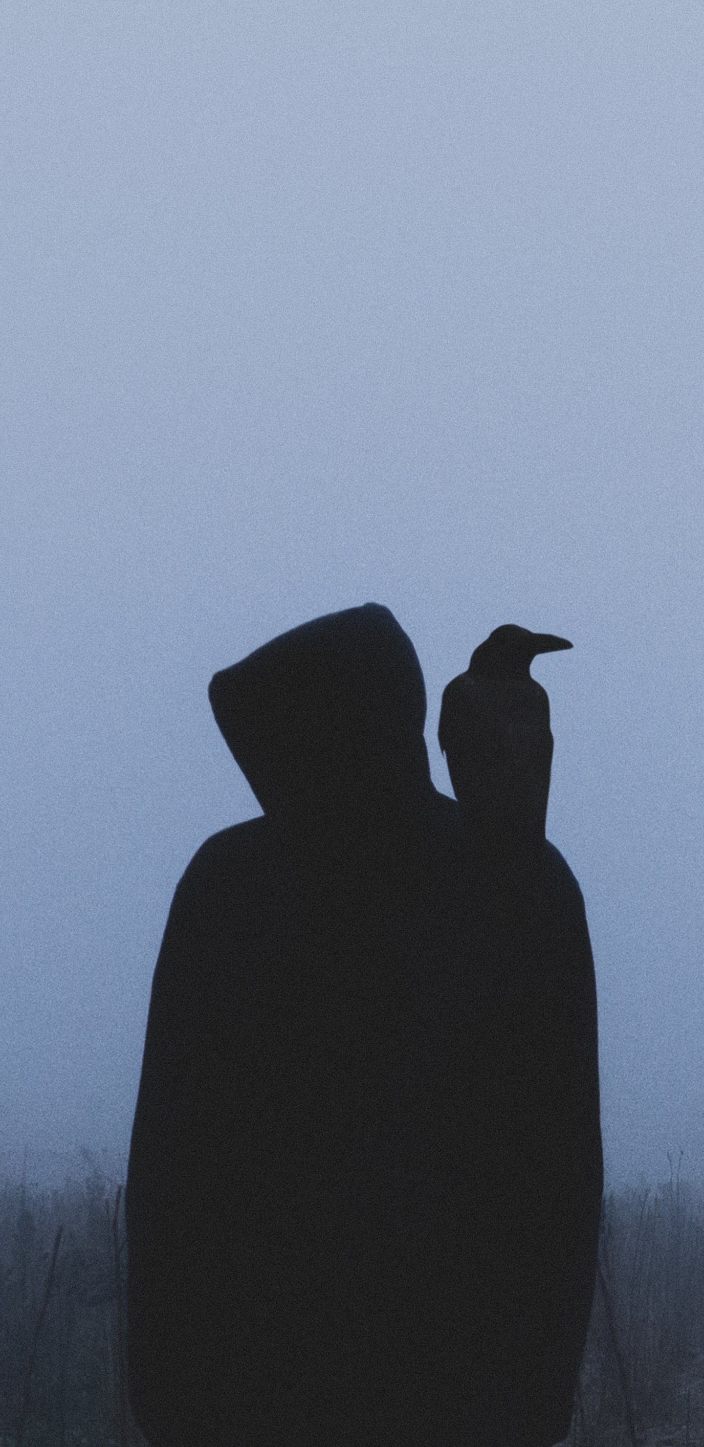 Silhouette D'oiseau Sur Une Branche D'arbre Pendant la Journée. Wallpaper in 1440x2960 Resolution