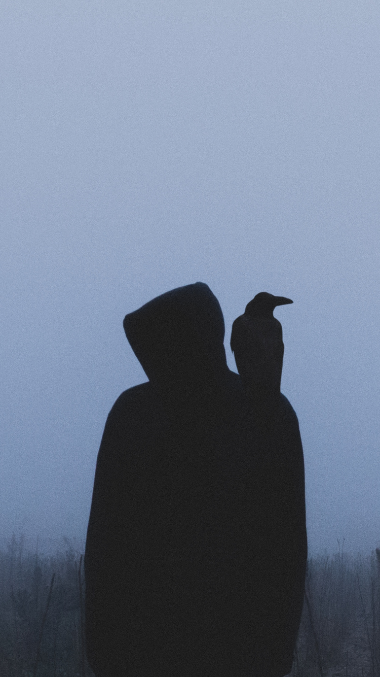 Silhouette of Bird on Tree Branch During Daytime. Wallpaper in 750x1334 Resolution