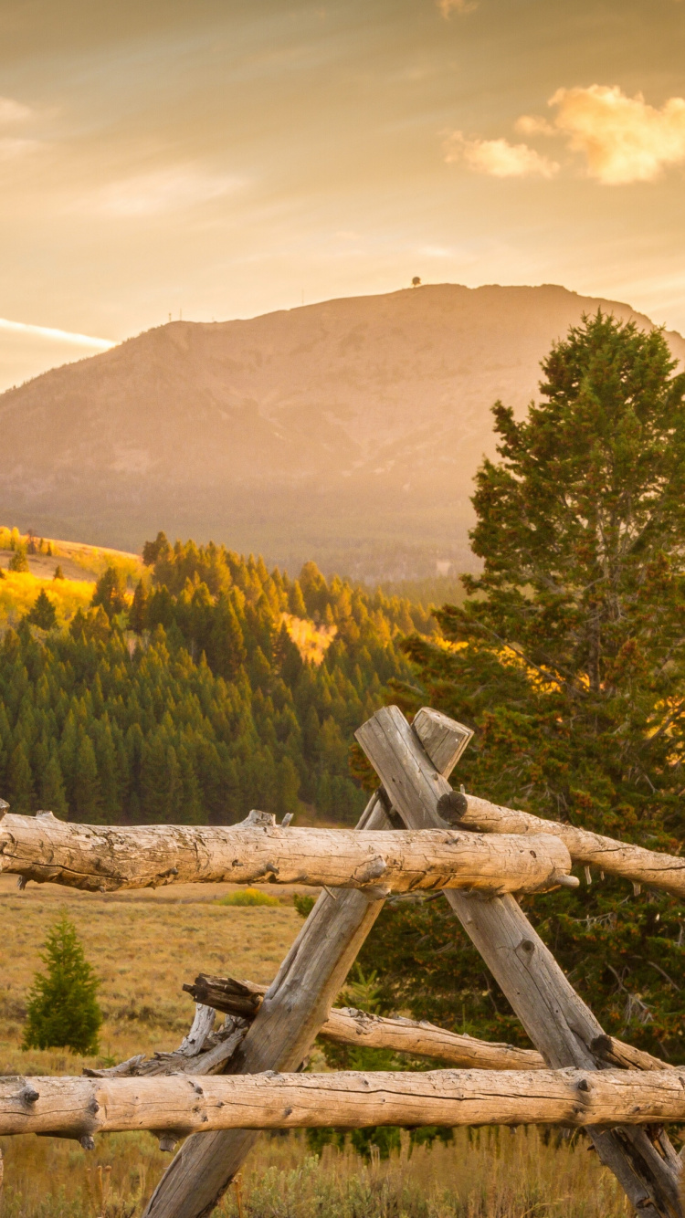 Cloud, Ökoregion, Naturlandschaft, Natürlichen Umgebung, Holz. Wallpaper in 750x1334 Resolution