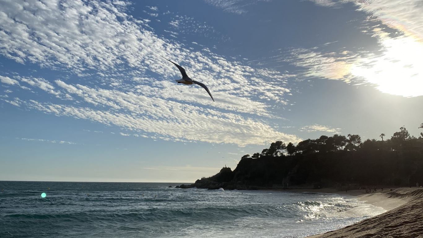 Mar, Agua, Playa, la Física, Ciencia. Wallpaper in 1366x768 Resolution