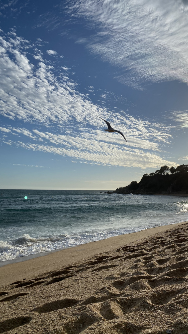 Mer, Eau, Plage, Physique, Sciences. Wallpaper in 750x1334 Resolution