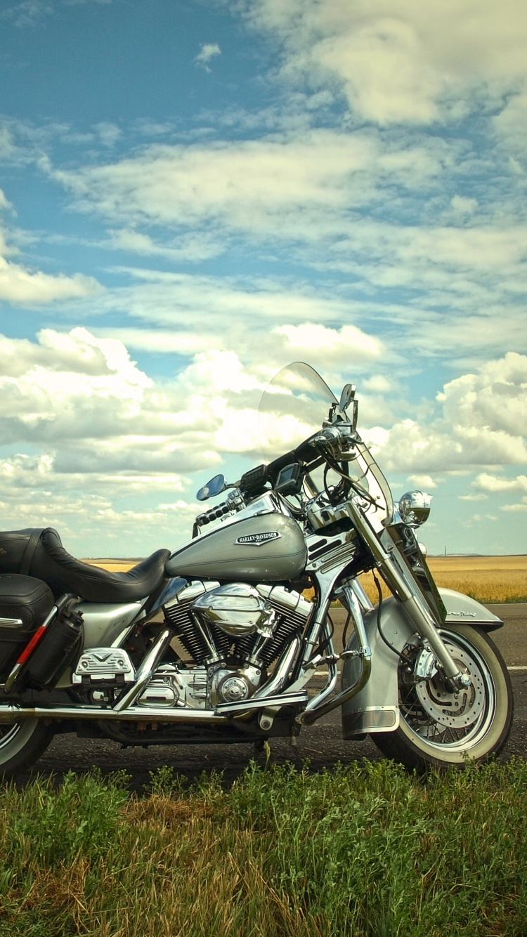 Bicicleta Deportiva en Blanco y Negro en Campo Marrón Bajo Nubes Blancas y Cielo Azul Durante el Día. Wallpaper in 750x1334 Resolution