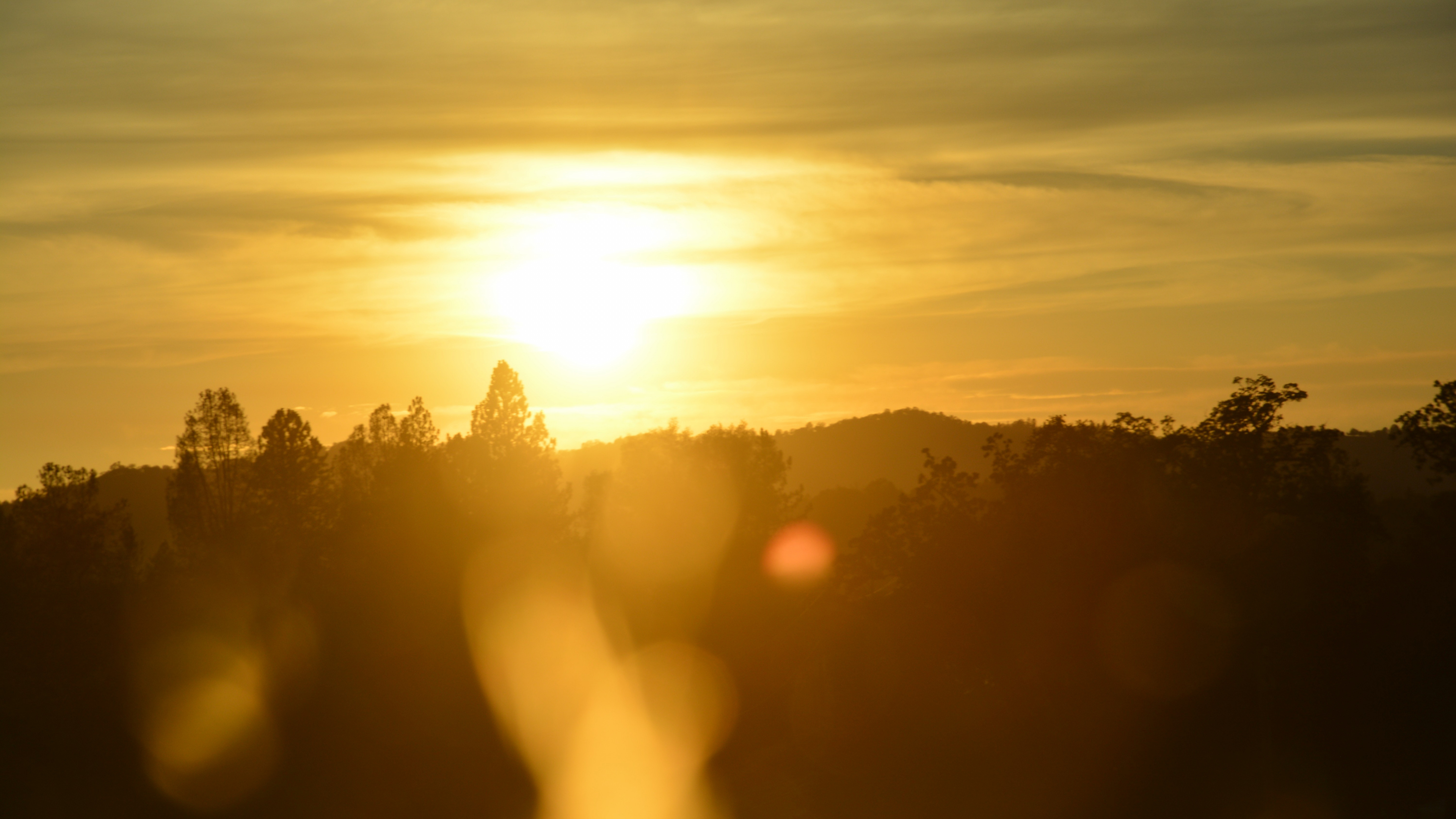 Silhouette Von Bäumen Bei Sonnenuntergang. Wallpaper in 3840x2160 Resolution