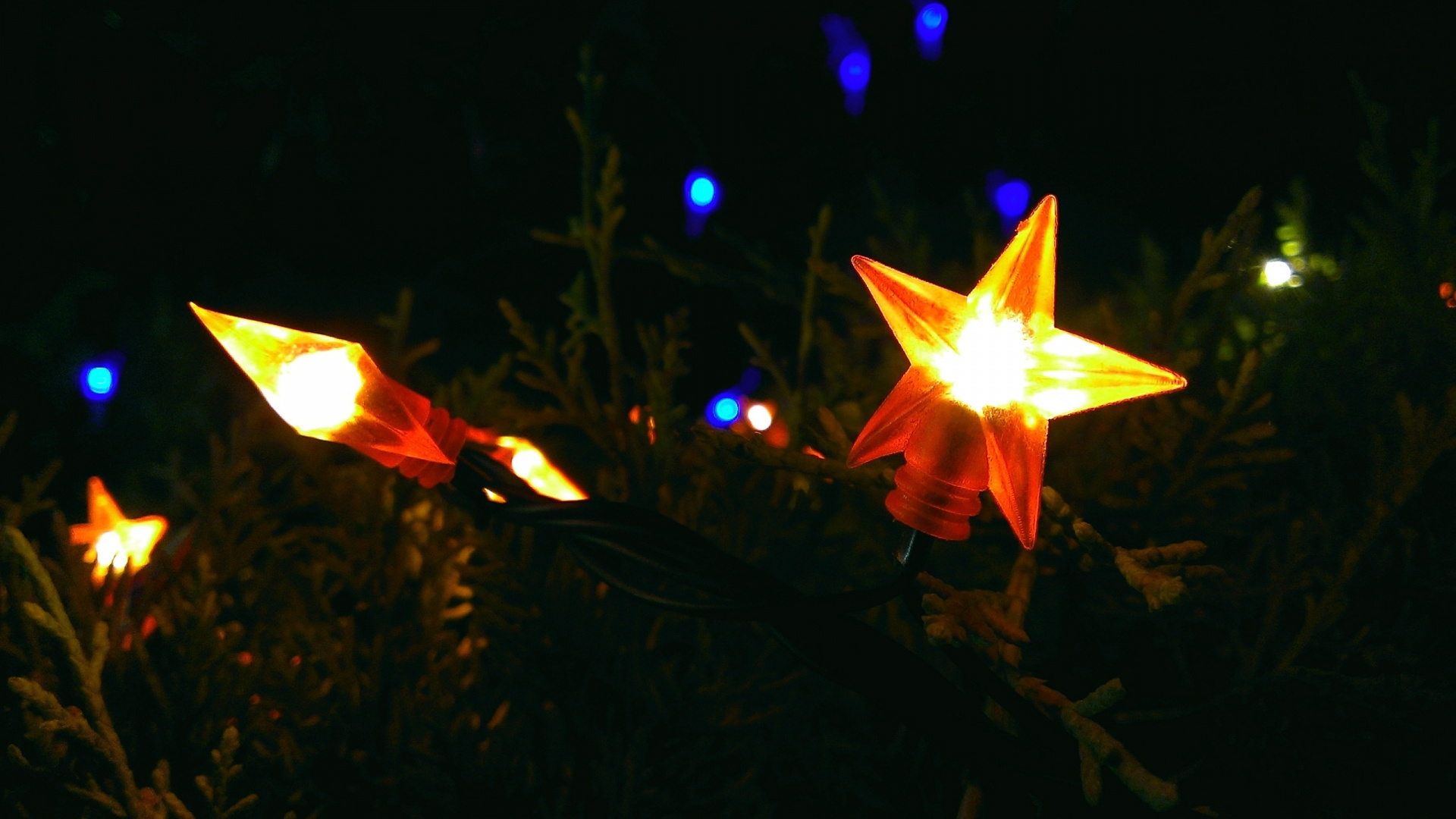 Licht, Nacht, Baum, Weihnachten, Blatt. Wallpaper in 1920x1080 Resolution